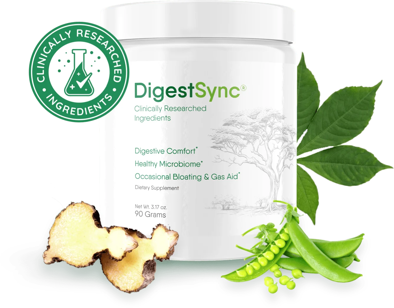 What is DigestSync — Natural digestive health supplement explained